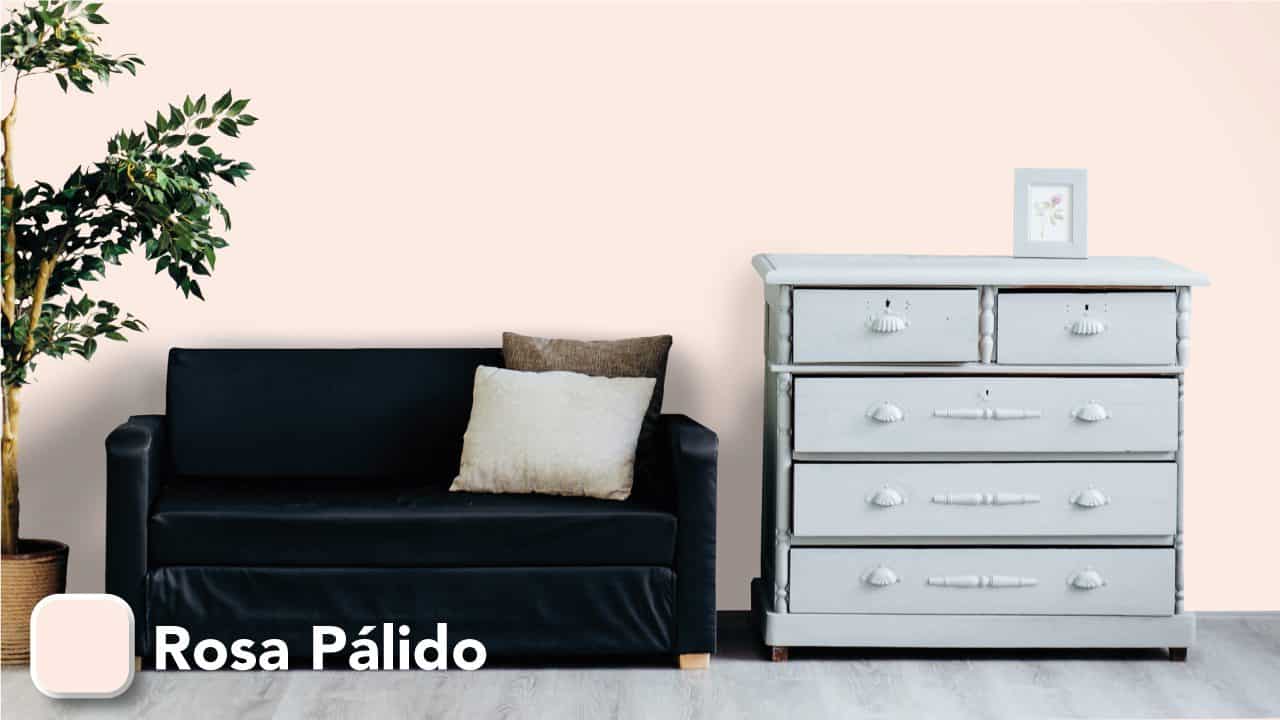 Pintasil Rosa Palido