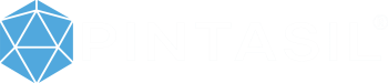 LogoPintasil25 LogoPintasil25